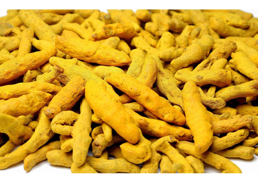 Turmeric fingers by www.svexporters.in